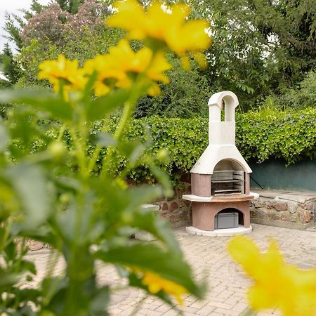 Ferienhaus Am Bergeshang Blankenburg  Kültér fotó